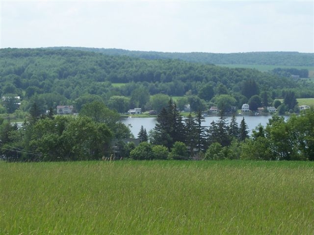 Summer 2008, submitted by Jean Maess