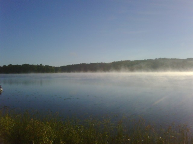 steamy morning, submitted by Jean Maess