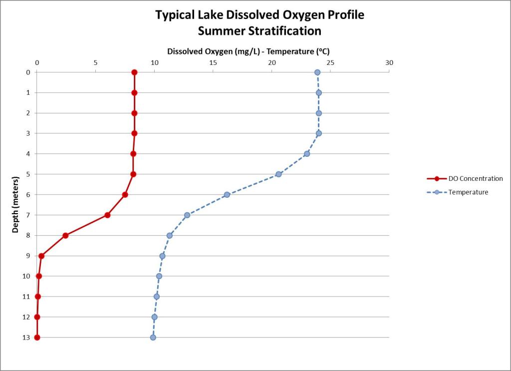 Summer Stratification