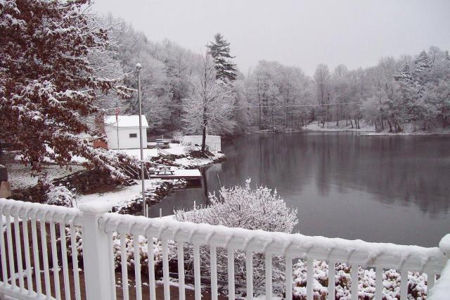 Winter Wonderland, submitted by Darryl Miller