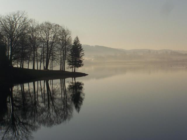 Misty Morning, submitted by Darryl Miller