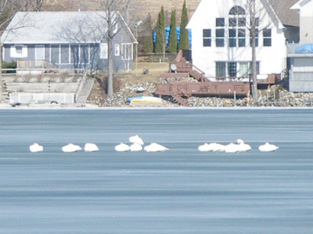 Submitted by Ed Sick