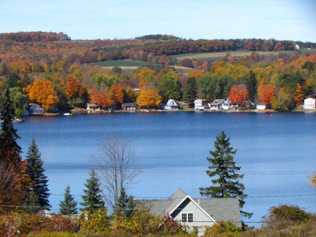 submitted by Ed Sick