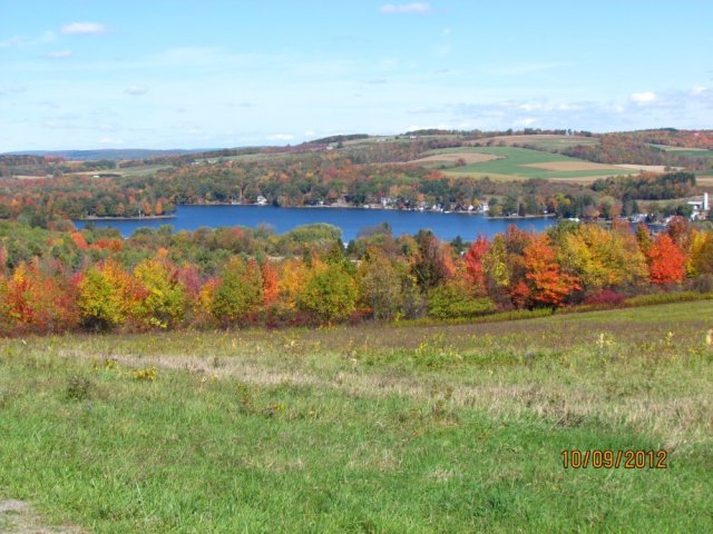 submitted by Ed Sick