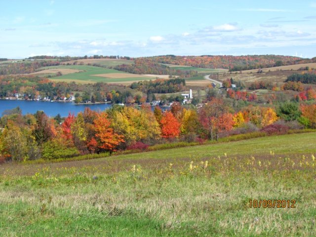 submitted by Ed Sick