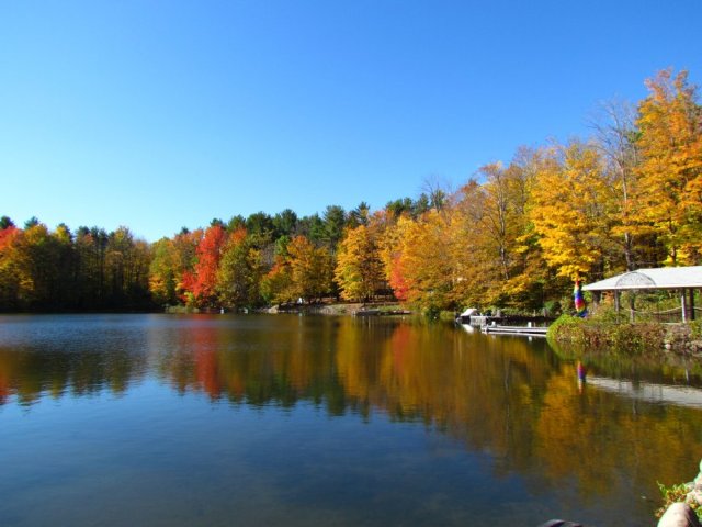 submitted by Ed Sick