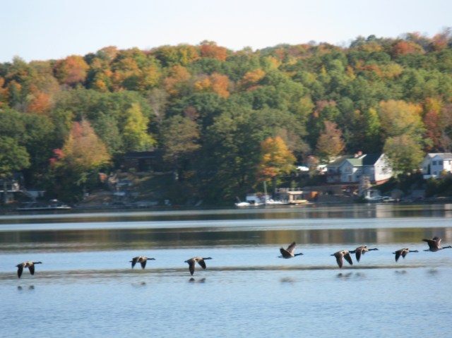 Heading south, submitted by Jean Maess