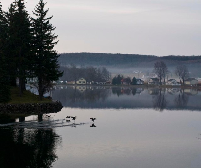 DSC_9592_055 cropped